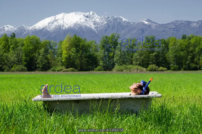 : Woman lying in a bathtub on a green field with g : Woman lying in a bathtub on a green field with g