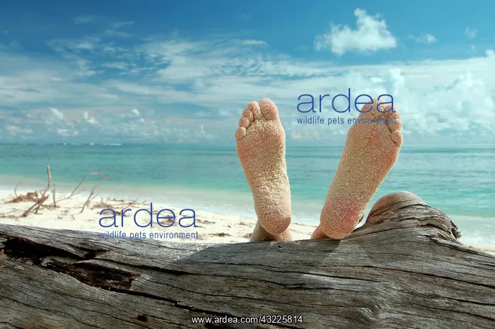  : Woman lying on the beach feet up on a tree trunk