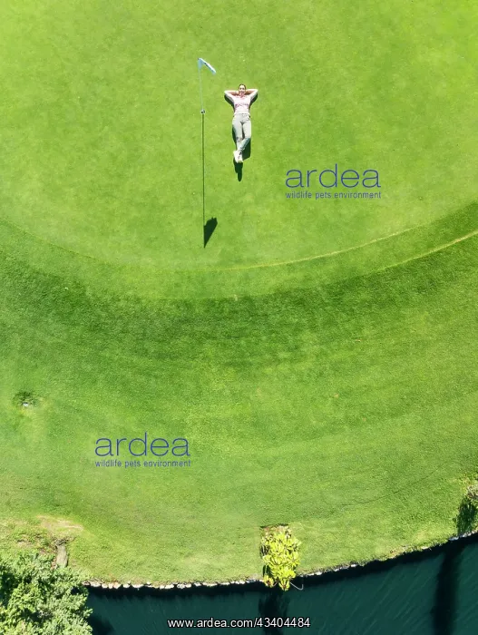 : Woman lying on the green at the La Noria Golf Resort : Woman lying on the green at the La Noria Golf Resort