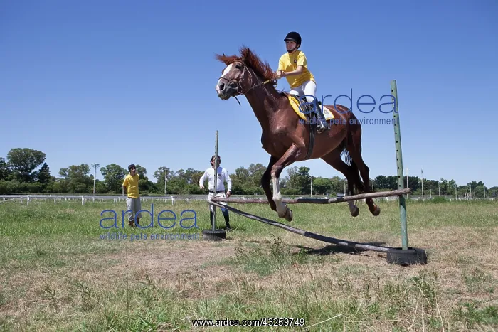 : Woman making a jump of horse therapy center : Woman making a jump of horse therapy center