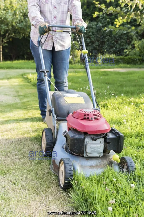 : Woman mowing a lawn, summer, Pas de Calais, France : Woman mowing a lawn, summer, Pas de Calais, France