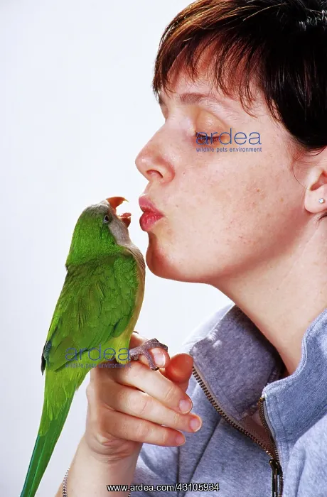 : Woman and Parakeet : Woman and Parakeet