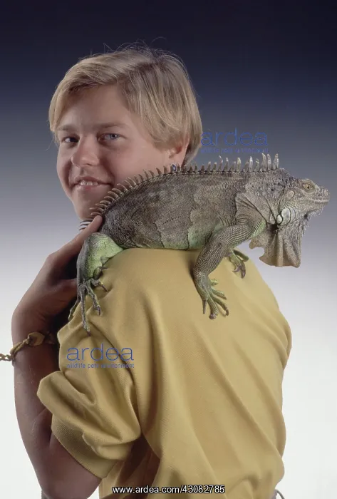 : Woman with Pet Iguana : Woman with Pet Iguana