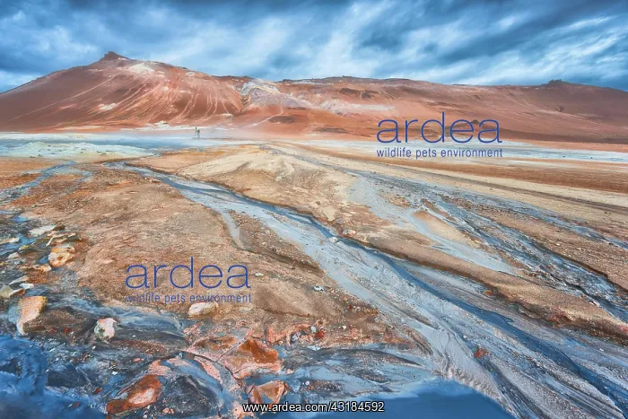 : Woman with photo tripod standing in the Hverir thermal : Woman with photo tripod standing in the Hverir thermal