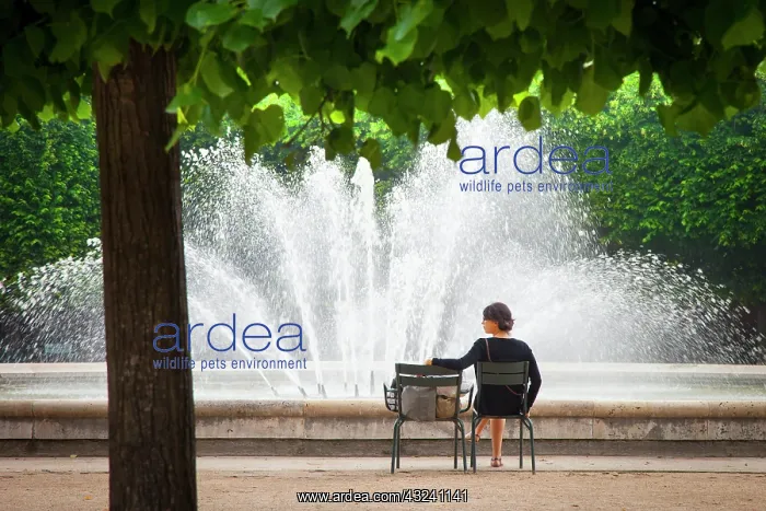 : Woman relaxing at the fountain in the Garden : Woman relaxing at the fountain in the Garden