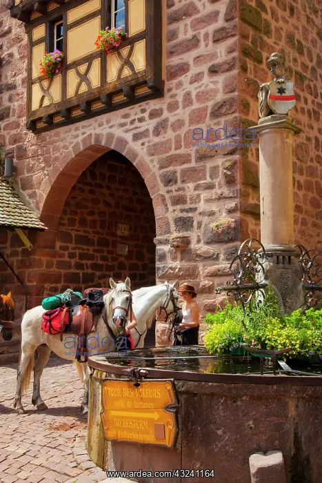 : Woman with saddle horses at the public fountain : Woman with saddle horses at the public fountain