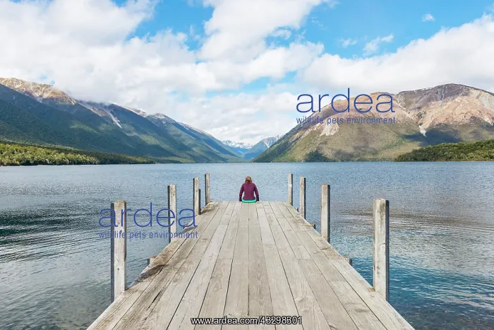  : Woman sitting on dock, view of Lake Rotoiti, Nelson
