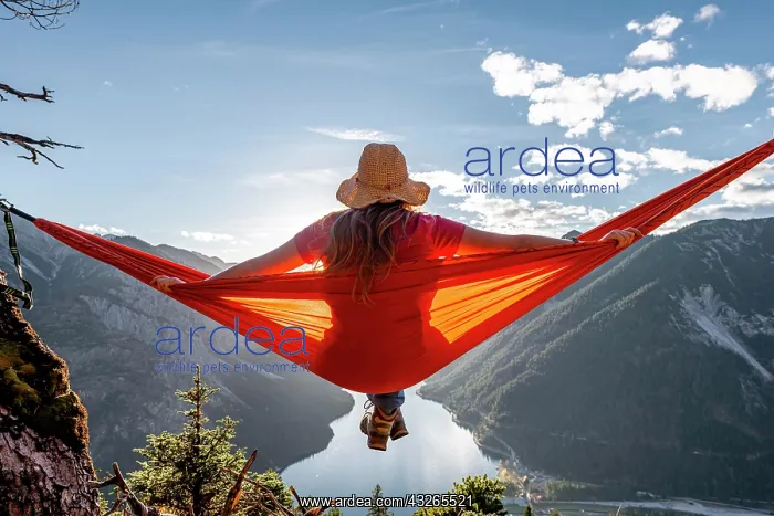 : Woman with a sun hat sitting in an orange hammock : Woman with a sun hat sitting in an orange hammock
