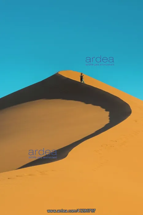 : Woman on the the giant sanddune Dune 45, Namib-Naukluft : Woman on the the giant sanddune Dune 45, Namib-Naukluft