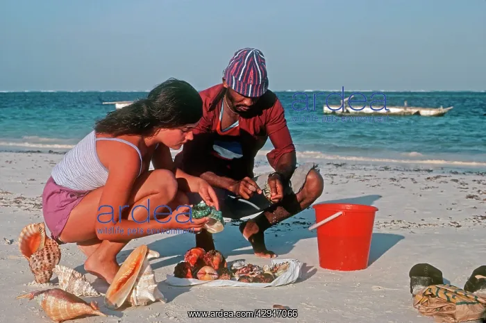: Woman tourist buying exotic shells from beach trader : Woman tourist buying exotic shells from beach trader