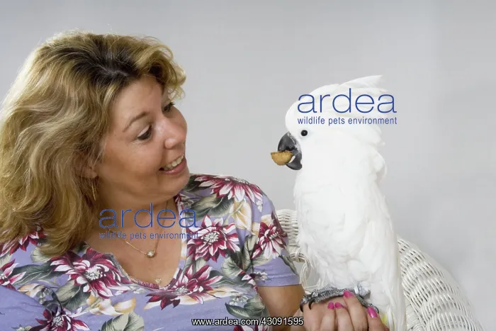 : Woman with Her Umbrella Cockatoo : Woman with Her Umbrella Cockatoo