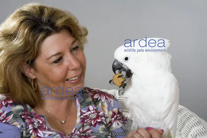 : Woman with her Umbrella Cockatoo : Woman with her Umbrella Cockatoo