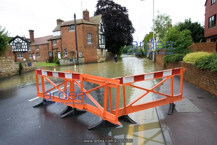  : Woman walking along flooded road into Tewkesbury near Abbey