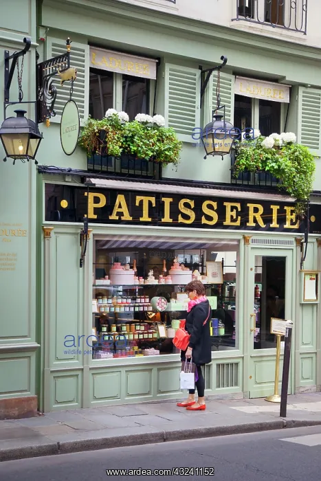 : Woman window shopping at Lauderee Patisserie : Woman window shopping at Lauderee Patisserie