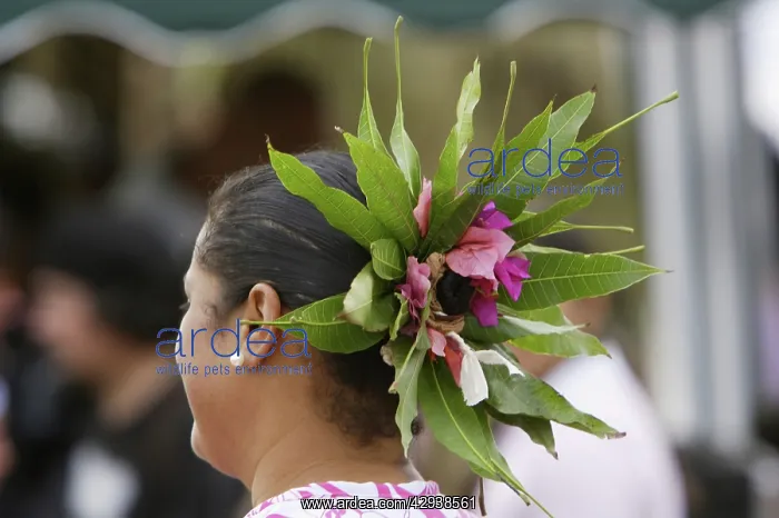 : Woman's hair finery on Rapa Nui Language Day, a : Woman's hair finery on Rapa Nui Language Day, a