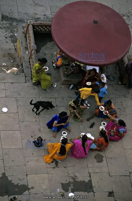 : Women eating in the street and dog Varanaci India : Women eating in the street and dog Varanaci India