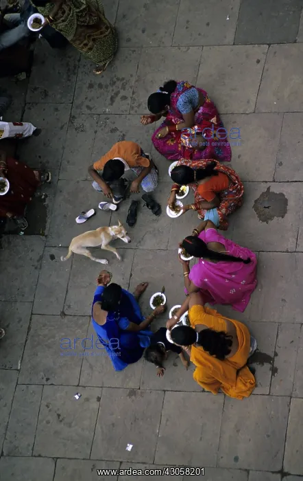 : Women eating in the street and dog Varanaci India
