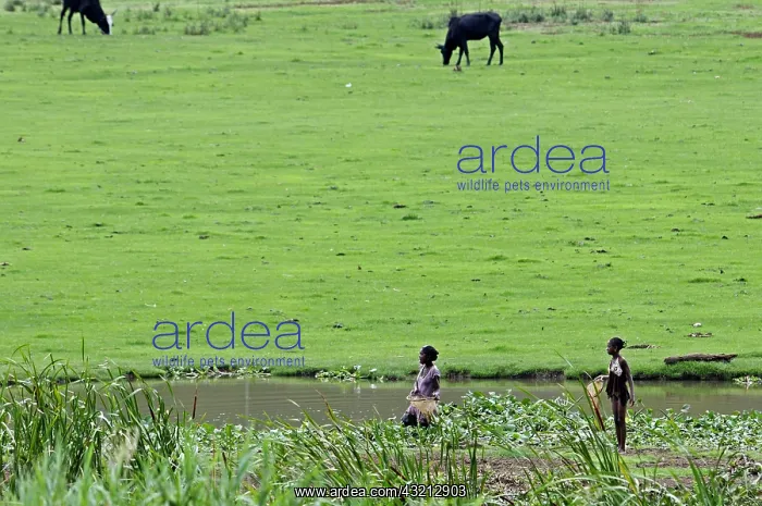 : Women fishing in a small river in Madagascar : Women fishing in a small river in Madagascar