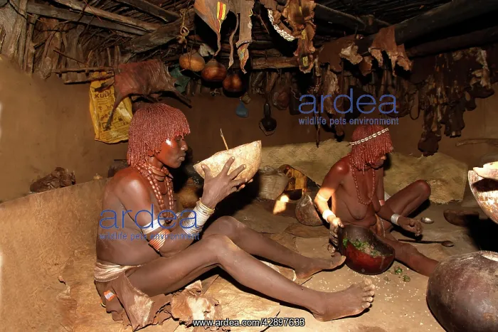 : Women inside hut, Hamer tribe : Women inside hut, Hamer tribe