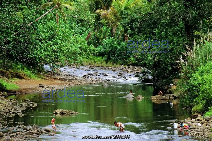 : Women washing in river Pohnpei Island : Women washing in river Pohnpei Island