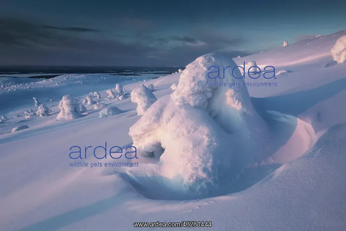 : Wonderful winter in Mount Kandalaksha. Arctic region : Wonderful winter in Mount Kandalaksha. Arctic region