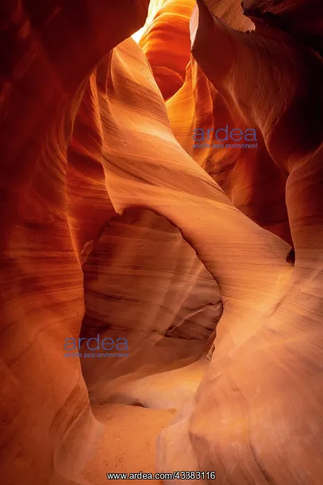 : The wonders seen in Lower Antelope looking up. A : The wonders seen in Lower Antelope looking up. A