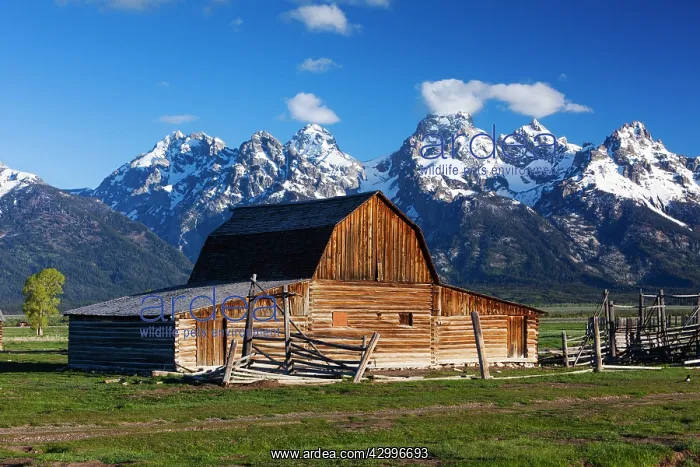  : Wooden Barn - at John Moulton Homestead in June