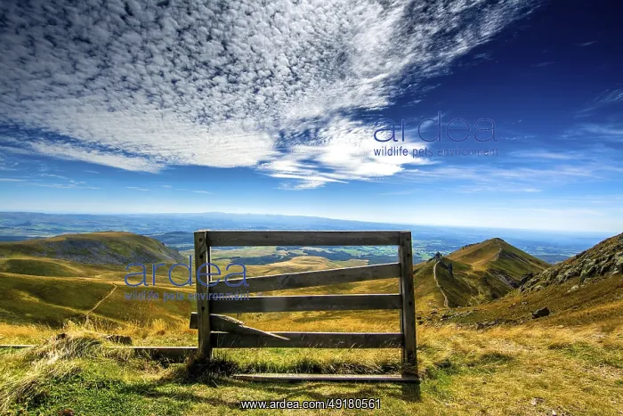 : A wooden barrier stands at the edge of Sancy Mountain : A wooden barrier stands at the edge of Sancy Mountain