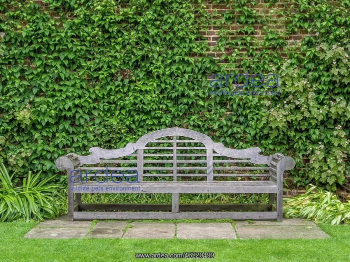 : Wooden bench designed by Sir Edwin Lutyens in the : Wooden bench designed by Sir Edwin Lutyens in the
