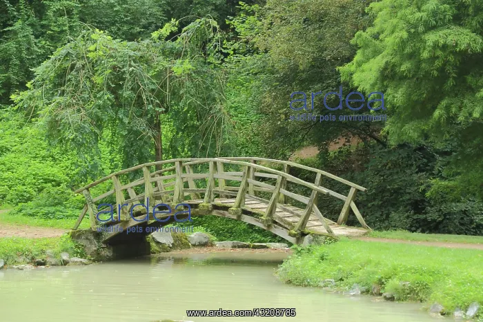 : Wooden bridge and arch bridge, wooden construction : Wooden bridge and arch bridge, wooden construction