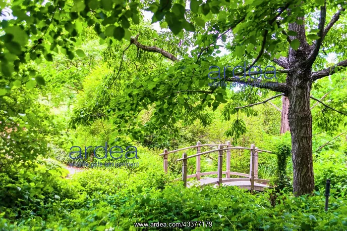 : A wooden bridge crossing a small creek alongside : A wooden bridge crossing a small creek alongside