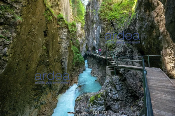 : Wooden bridge through the Leutasch gorge, near Mittenwald : Wooden bridge through the Leutasch gorge, near Mittenwald