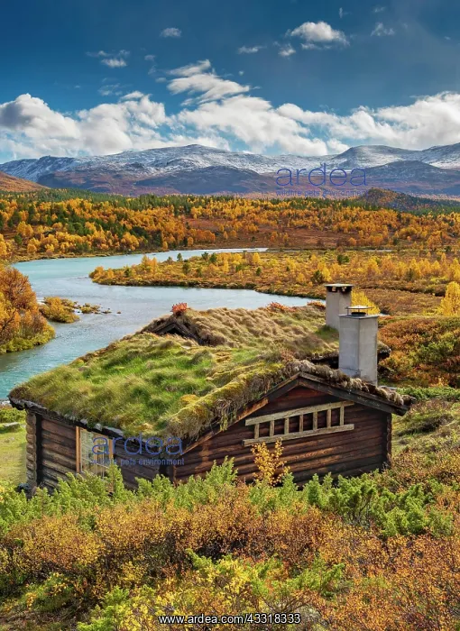 : Wooden cabin, wide landscape, turquoise river, colorful : Wooden cabin, wide landscape, turquoise river, colorful