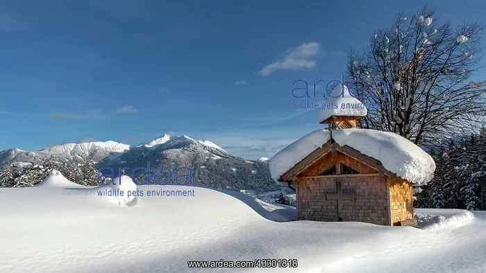 : Wooden chapel with snow on Vomperberg, Kellerjoch : Wooden chapel with snow on Vomperberg, Kellerjoch