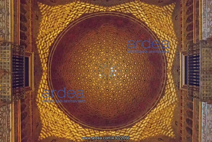 : The wooden domed ceiling in the Salon of the Ambassadors : The wooden domed ceiling in the Salon of the Ambassadors