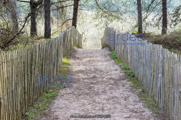 : Wooden fences made of Chestnut marking out a hiking : Wooden fences made of Chestnut marking out a hiking