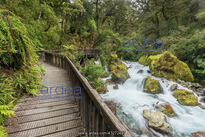: Wooden footbridge at Marian Falls, road to Lake : Wooden footbridge at Marian Falls, road to Lake