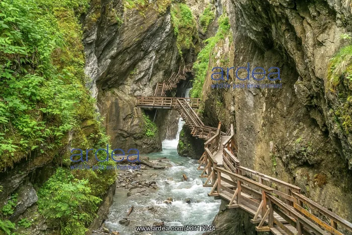 : Wooden footbridge on a rock face over the mountain : Wooden footbridge on a rock face over the mountain