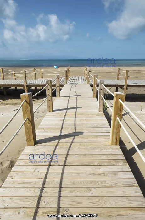 : Wooden footbridges at the beach of Riumar - environs : Wooden footbridges at the beach of Riumar - environs
