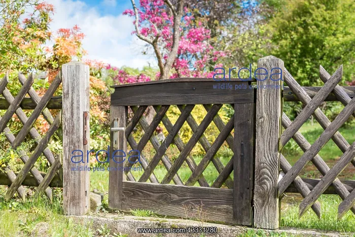 : Wooden gate in a garden France, Lorraine, Printemps : Wooden gate in a garden France, Lorraine, Printemps