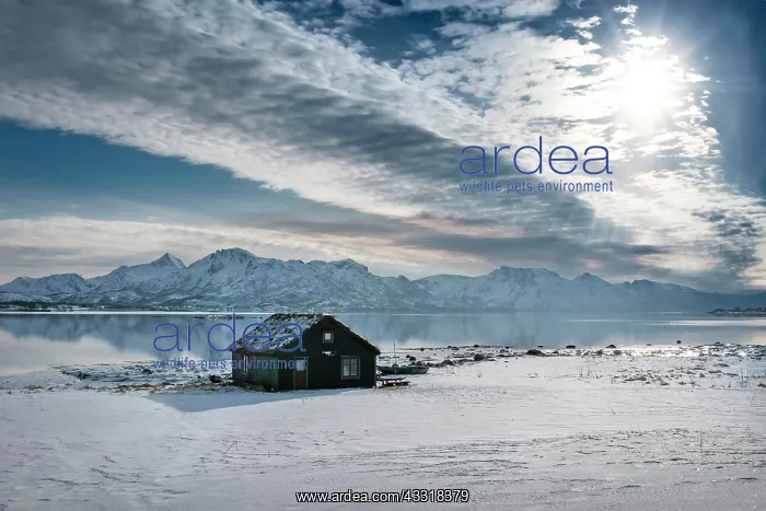 : Wooden house in winter landscape, sea and mountains : Wooden house in winter landscape, sea and mountains