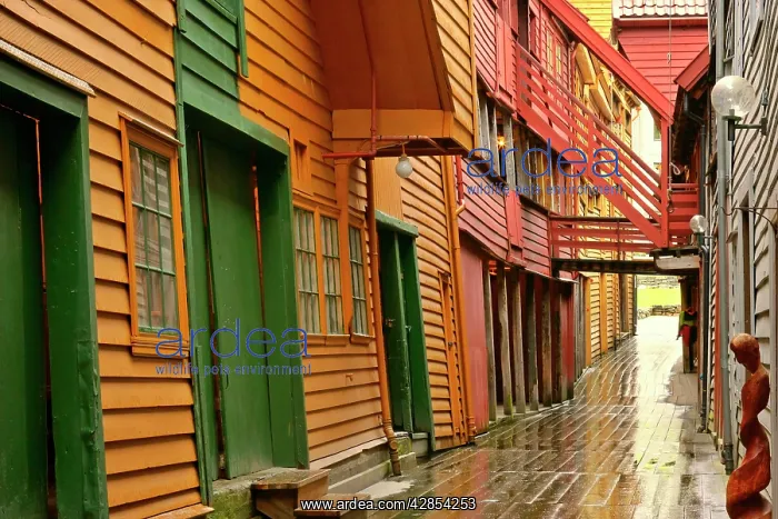 : wooden houses - alley and colourful historic trade : wooden houses - alley and colourful historic trade