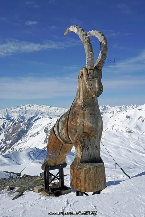 : Wooden ibex figure, work of art, snow-capped mountains : Wooden ibex figure, work of art, snow-capped mountains