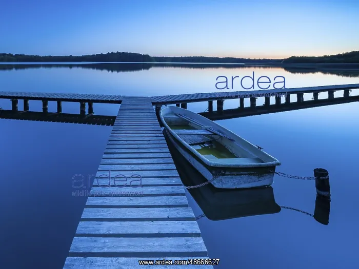 : Wooden jetty with rowing boat at dusk, after sunset on Lake : Wooden jetty with rowing boat at dusk, after sunset on Lake