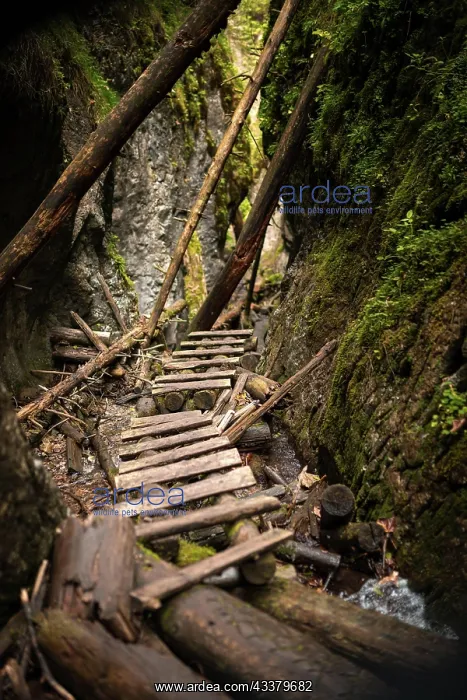 : Wooden ladders over the stream in the gorges of : Wooden ladders over the stream in the gorges of