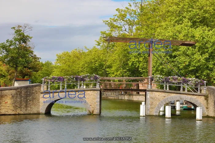 : Wooden lifting bridge over the Langerei canal, Bruges : Wooden lifting bridge over the Langerei canal, Bruges
