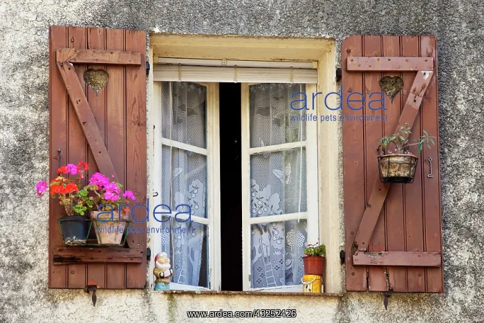 : Wooden shutters and window to home in historic : Wooden shutters and window to home in historic