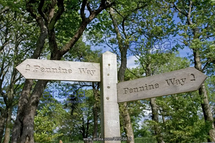 : Wooden signpost : Wooden signpost