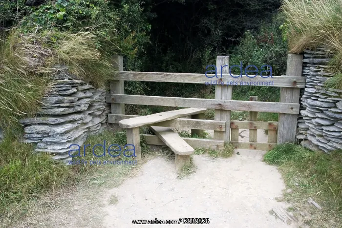  : Wooden stile with dog gate between stone walls