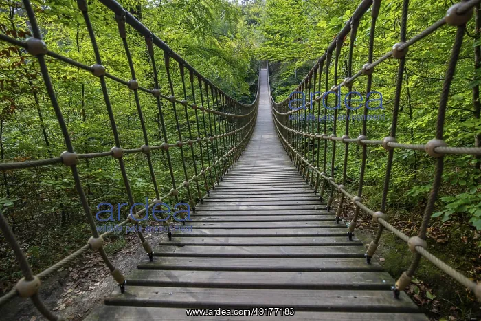 : Wooden suspension bridge over a gorge : Wooden suspension bridge over a gorge